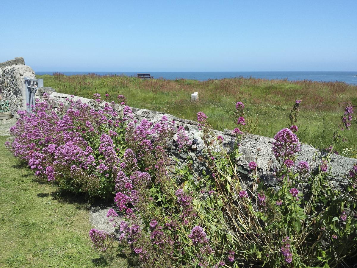 Angorfa Villa Cemaes Bay Exterior foto